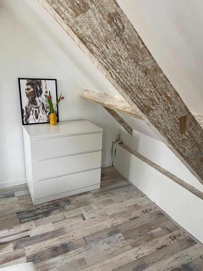 Zilvermeeuw Bergen aan Zee Exterior foto